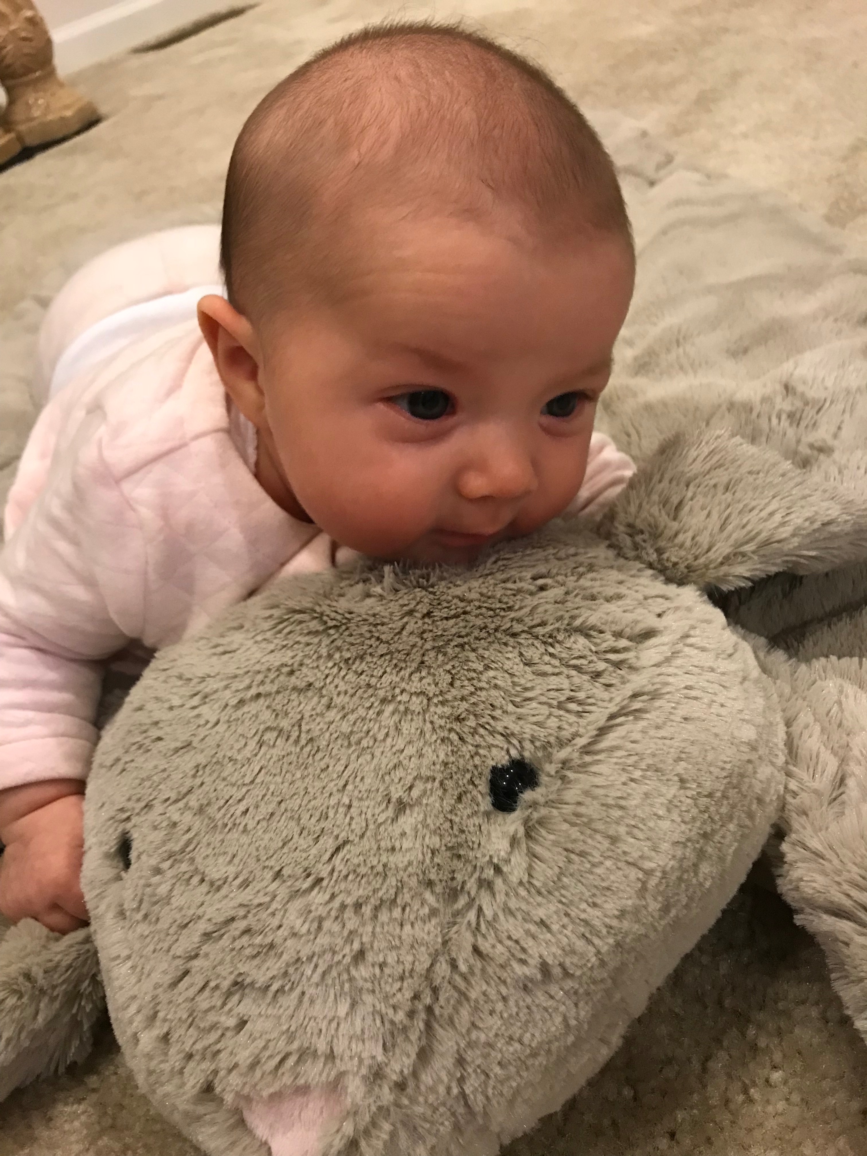 he7h8+mQT2O36o5YG35n6A